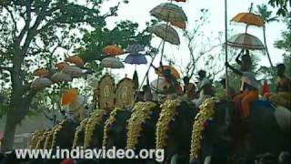 Cherai Pooram - Elephants all the way