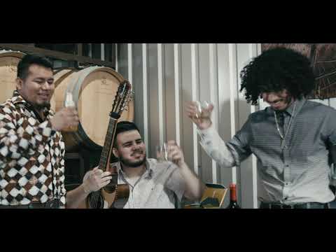 Estrellas De Tierra Caliente - El Tenampa (Video Oficial)