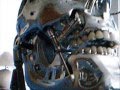 Terminator head Programable (static display) 