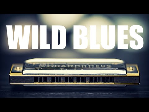 Wild Harmonica Blues | Instrumental BGM Music