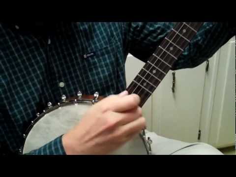 Recording King Madison RK-OT25 Old-Time Banjo 2018 image 8
