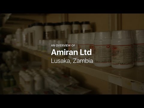 download lagu mp3 mp4 Amiran Zambia, download lagu Amiran Zambia gratis, unduh video klip Amiran Zambia