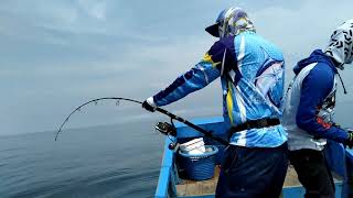 preview picture of video 'Jigging Strike GT 19kg UP.. Screaming stella 10k Mancing Mania Mantap'