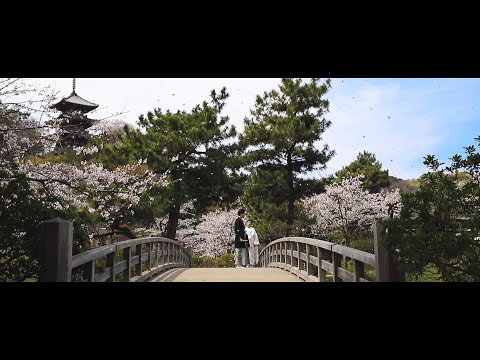 agrandissement-maison-toit-plat-baies-vitrées-toile-tendue