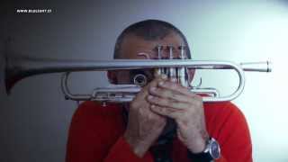 FOR LESTER - FRANCO BAGGIANI - BLULIGHT GALLERY