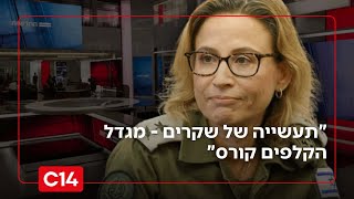 "תעשייה של שקרים - מגדל הקלפים קורס": פרשת השחיתות הדרמטית של הפצ"רית (חדשות ערוץ 14) - התמונה מוצגת ישירות מתוך אתר האינטרנט יוטיוב. זכויות היוצרים בתמונה שייכות ליוצרה. קישור קרדיט למקור התוכן נמצא בתוך דף הסרטון