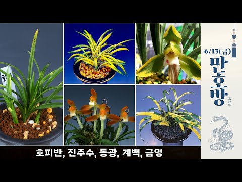 유튜브 썸네일