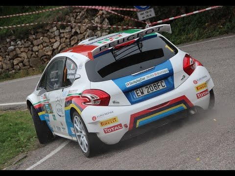 33° Rally Due Valli 2015 - Tutte le auto - PS3 / PS8 (HD)