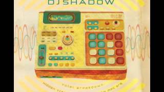 DJ Shadow-Atmospheric Disturbances