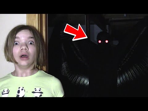 MOTHMAN IN OUR HOUSE. (SCARY)