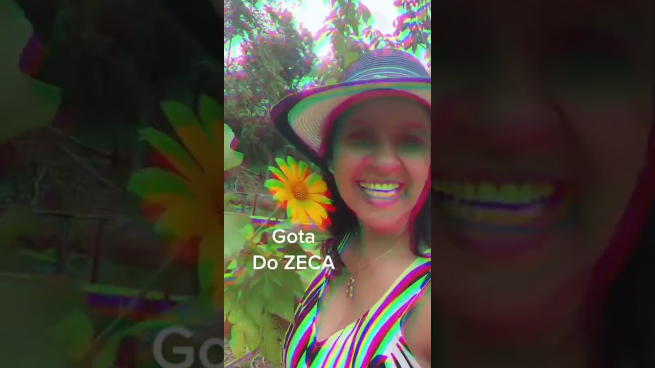 Watch Now GOTA DO ZECA, FIGATIL! #gotadozeca #plantasmedicinais #figado #madigestao #jardinagem #chá GOTA DO ZECA, FIGATIL! #gotadozeca #plantasmedicinais #figado #madigestao #jardinagem #chá