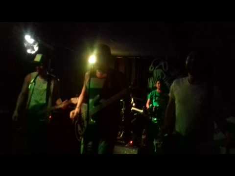 Los CHOTGUN y los gallos