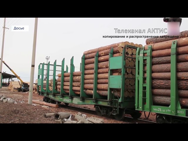 Крупную партию древесины вывезли в Китай