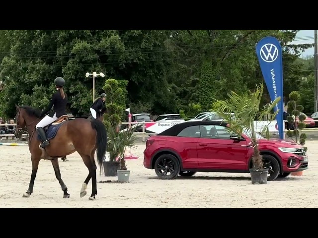 Ruin Connemara Te koop 2020 Donker bruin / bai ,  PRINCE DU VAL