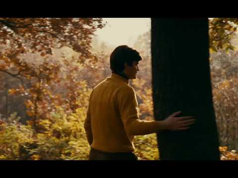 Le Bonheur (1965)  |  Directed by Agnès Varda