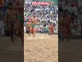 Benia Jammu Benia Pehalwan Beniajammu Beniapalwan Video Kushti Dangal Katralivetv