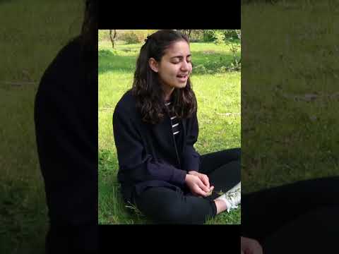 Today If I Stay - Willamette Stone