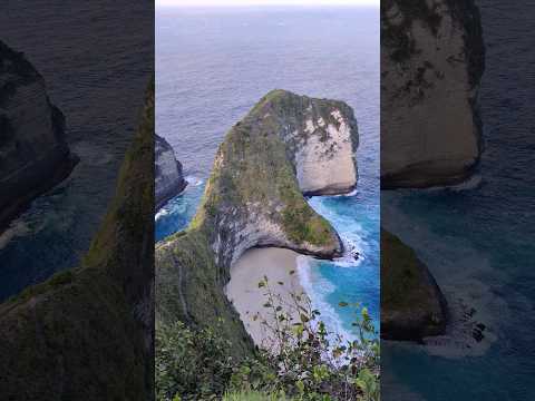 The best beach in Bali 🌊🌴 Kelingking Beach ⛱️ #bali #shorts #ashortaday #youtubeshorts #travel
