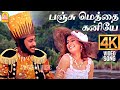 Panju Meththai Kaniyae 4K Video Song பஞ்சு மெத்தை கனியே Imsai Arasan