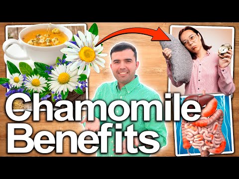 Top 10 Chamomile Tea Health Benefits! - Uses And Contraindications 100% Scientific