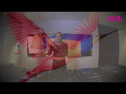 Phemia b2b Moni Celsi at Pink Feathers 1st Edition