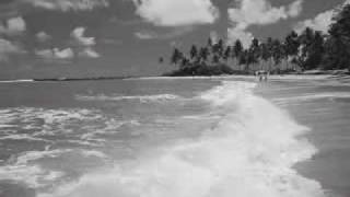 Natiruts - Presente de um Beija Flor