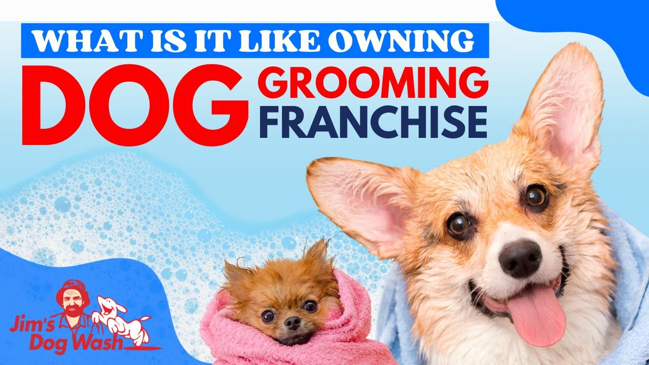 Making a Jim's franchise work for you! Interview with Sarah Gascoyne from Jim's Dog Wash