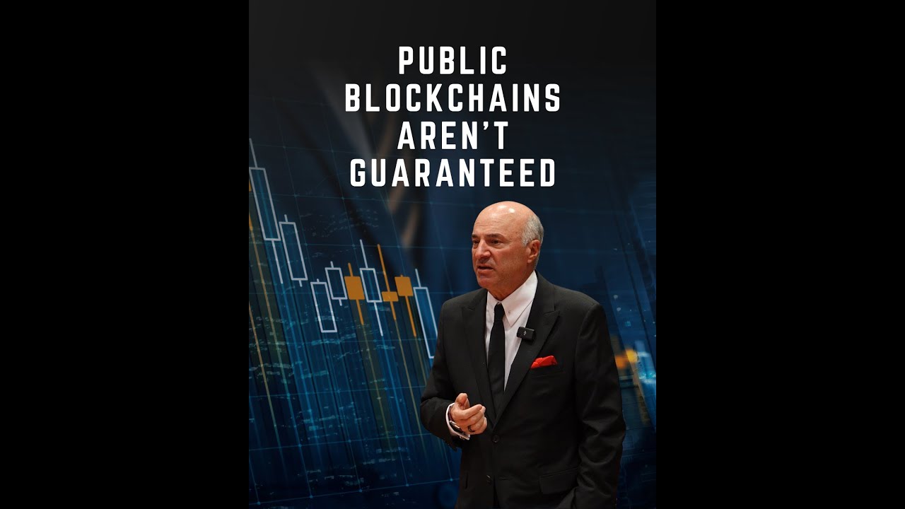 Public Blockchains Arent Guaranteed