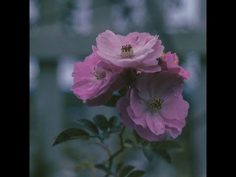 EP8. NHA - Xa Vô Tận (Official Audio) #KTBY