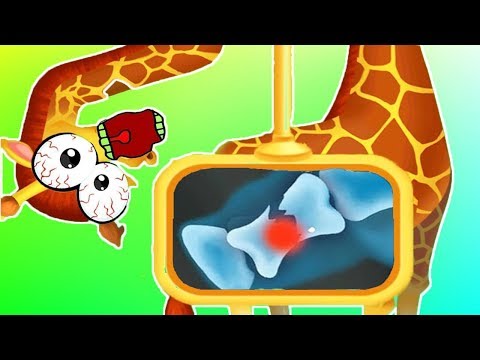 Play Fun Jungle Animal Care Kids Games - Save The Poor Jungle Animals - Fun Pet Games For Kids