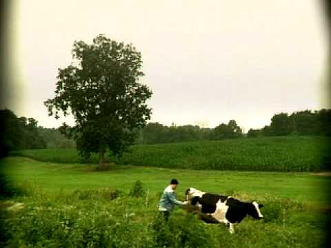 Yahoo! Search Broadcast Spot "Cow Poke #2"