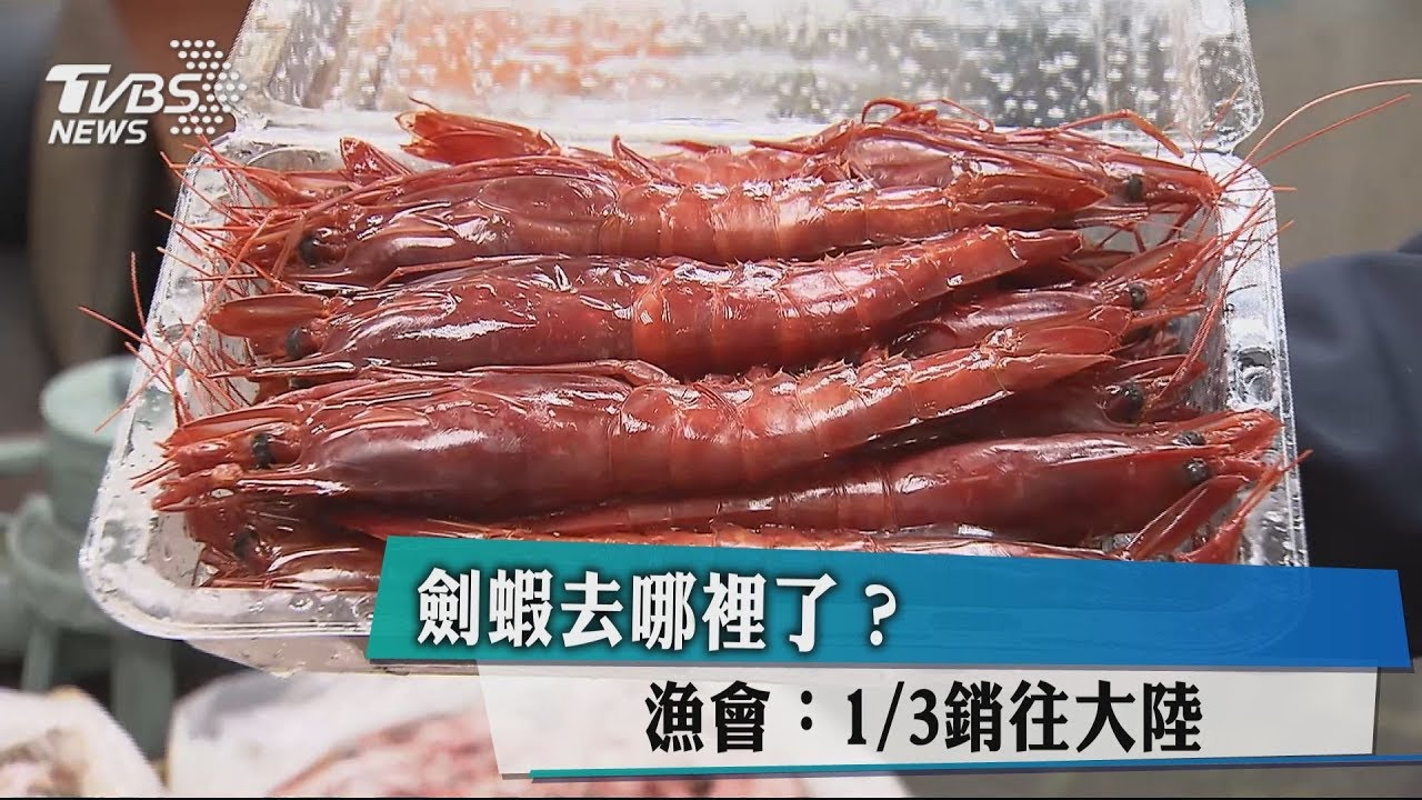 劍蝦去哪裡了？　漁會：1/3銷往大陸