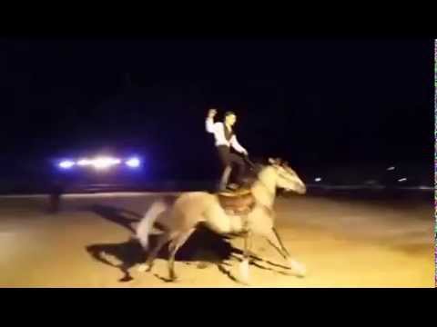 Ciccio Vintaloro  e Theoden  volteggio acrobatico in Sicilia