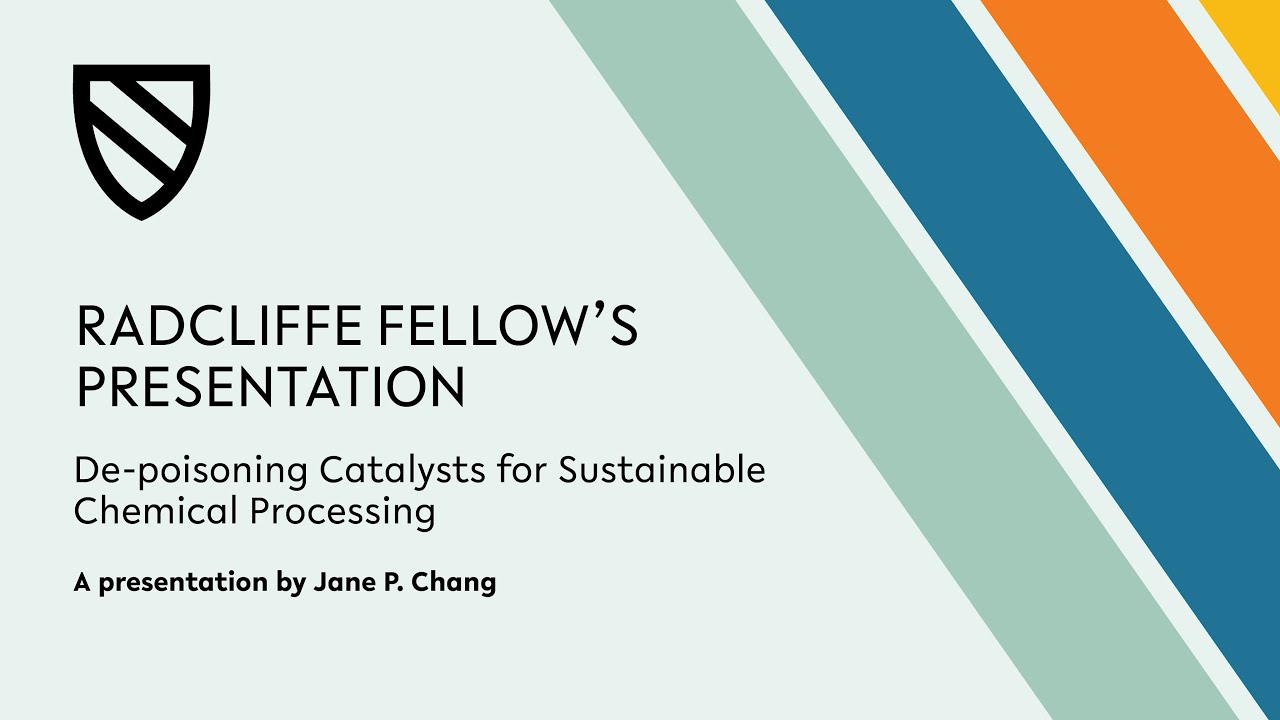 De-poisoning Catalysts for Sustainable Chemical Processing | Jane P. Chang