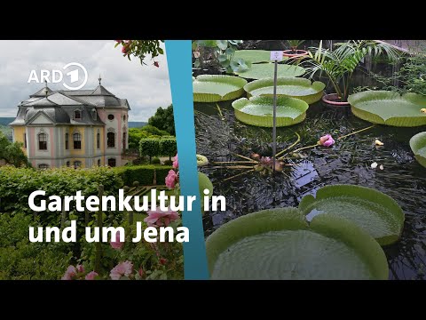 Gartenreise Thüringen: Unterwegs in und um Jena | MDR Garten