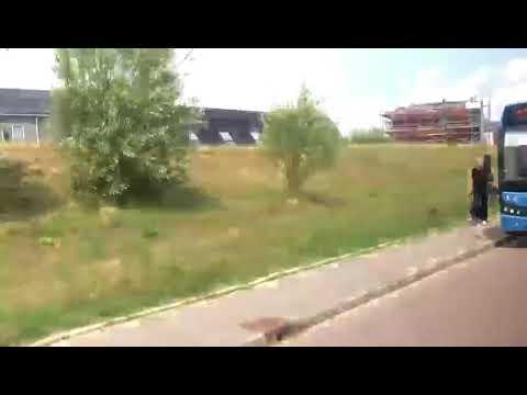 Bus 51 en 13 in de Vrijheidswijk te Leeuwarden // Bus 13 en 51 naar Leeuwarden Busstation