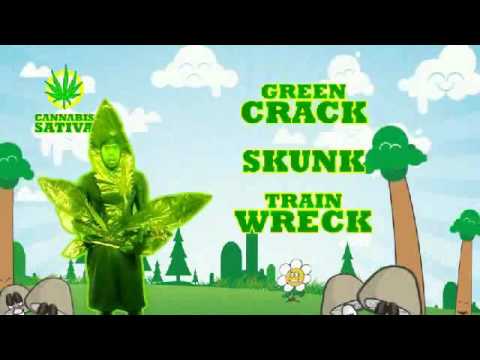 Captain kush Smoke Weed mother fucker smoke weed!