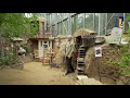 Natuur en Zo TV: de natuurtuin van Harry Kuijpers