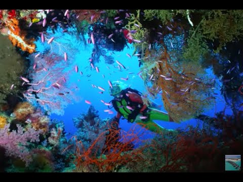 Jese Mucunabitu-Heaven In My Fiji.