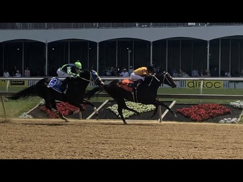 Jaxon Traveler duels to win the 2022 Maryland Sprint Stakes