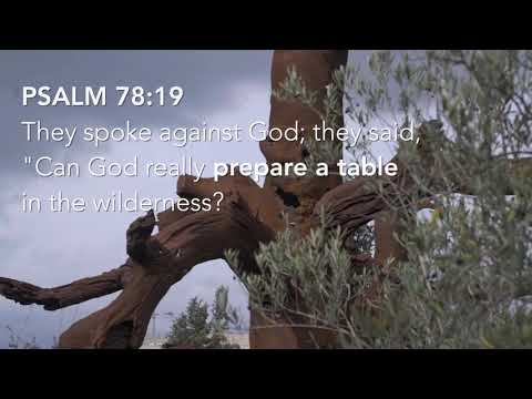 Psalm 23:5 – Setting the Table