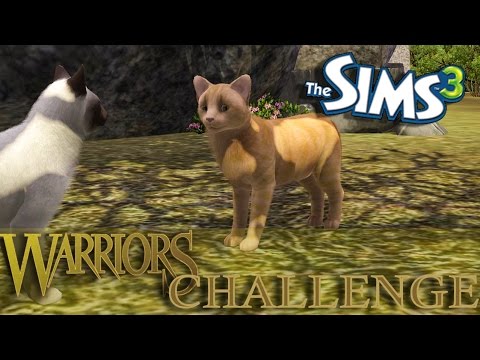 Sims 3 Warrior Cats Wiki Warriors Amino