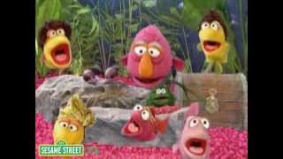 Sesame Street: Telly&#39;s Aquarium