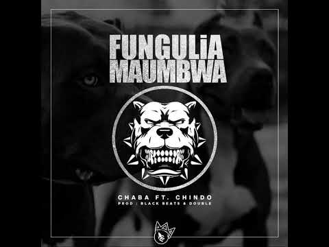 15. Chaba 009 - Fungulia Maumbwa ft Chindoman _ ( Prod. Black Beats & Double Mnyama )