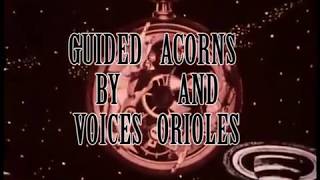 Guided by Voices - Acorns &amp; Orioles + Look At Them + The Perfect Life [PCB Goldman video]
