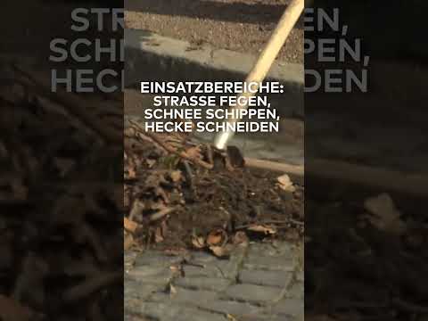 80 CENT PRO STUNDE: Saale-Orla-Kreis will Geflüchtete zur Arbeit verpflichten #shorts