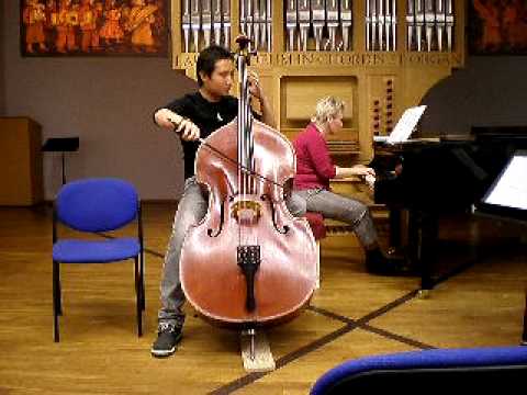 赛马 saima for doublebass perform Galloping Horses