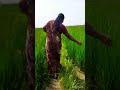 Yenga Uru Vayalveli Suba S Kitchen Subscribe Now