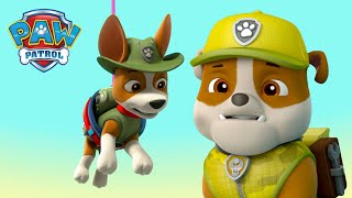 Download lagu Jungle Rescue Pups save Tracker Little Hairy the M... mp3