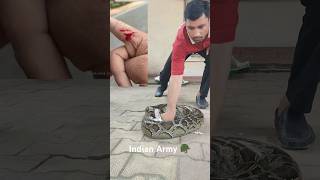 आर्मी कैंप में घुसा अजगर 🐍 | #shortfeed #animalsvideo #python #ytshorts #snake